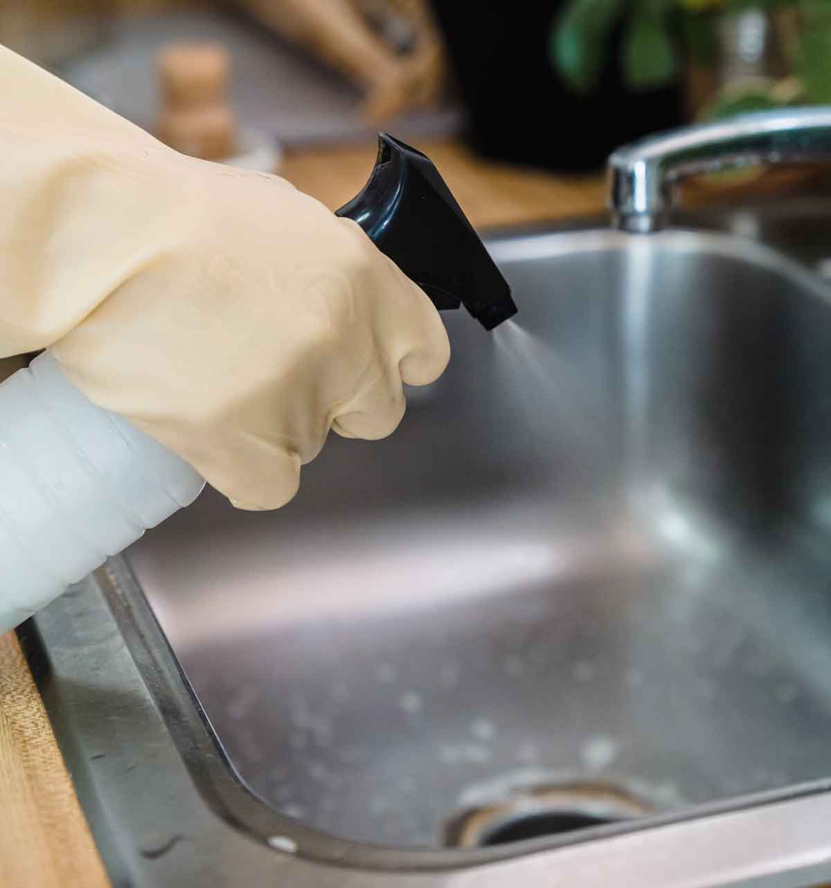 Quantas vezes você deve limpar a pia da cozinha? Foto: pexels