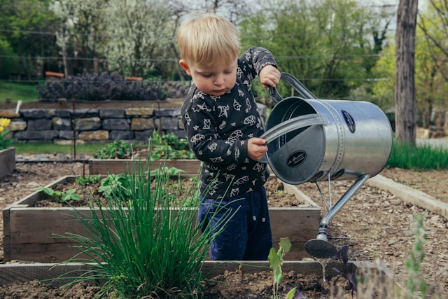 10つの水を過剰に耐えることができる植物