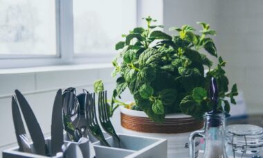 Ervas que você pode cultivar na sua cozinha sem precisar de solo