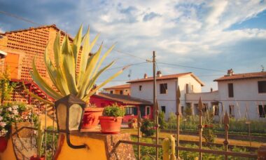 Como estilizar com grandes vasos decorativos no jardim da frente – 6 maneiras de melhorar seu esquema de design