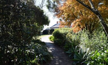 Erros na iluminação de caminhos de jardim e como evitar