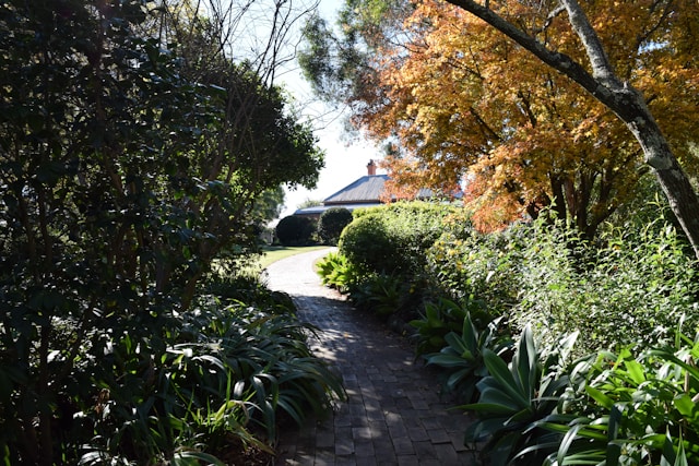 Erros na iluminação de caminhos de jardim e como evitar