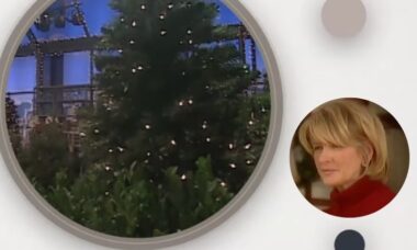 VÍDEO: Martha Stewart ensina o método perfeito para iluminar a árvore de Natal em 2024