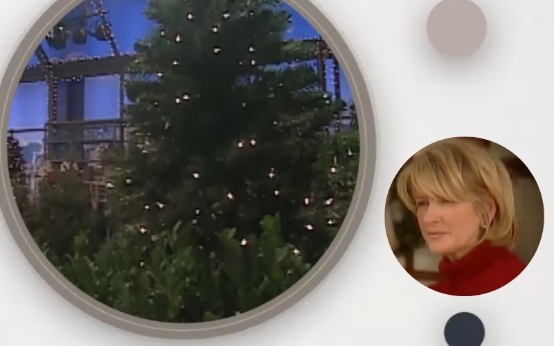 VÍDEO: Martha Stewart ensina o método perfeito para iluminar a árvore de Natal em 2024