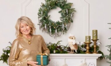 Guia de presentes de Martha Stewart: ideias elegantes a partir de $25 