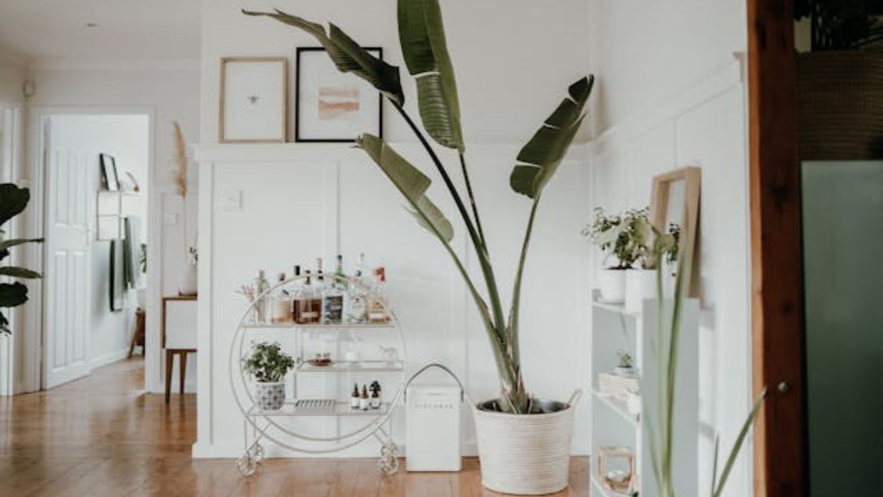 7 estilos de arte de parede fora de moda ​​(e que você provavelmente tem em casa)