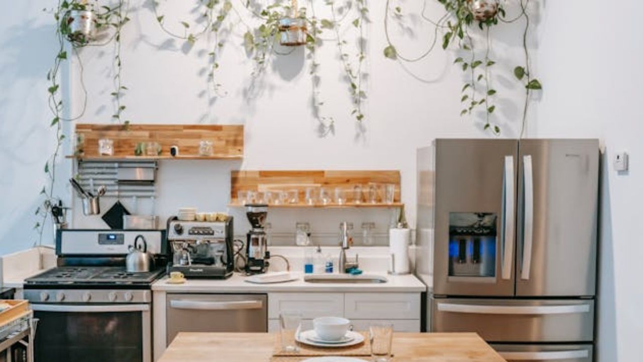 5 maneiras criativas e estilosas de exibir plantas de interior na decoração da sua casa
