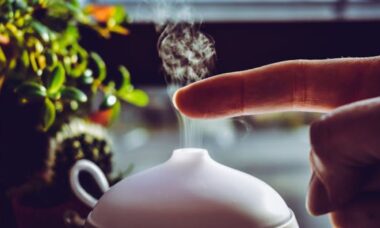 Quer que sua casa cheire bem? Especialistas compartilham os melhores aromas para cada cômodo