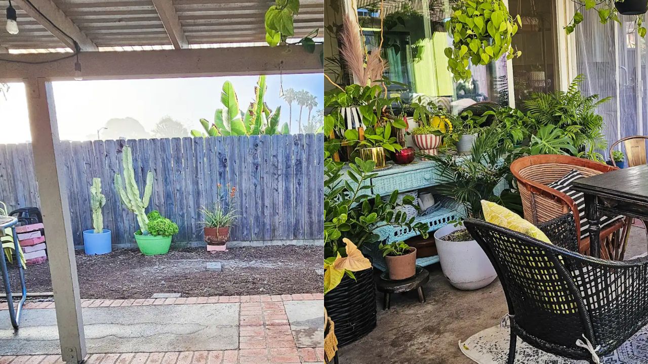 Antes e depois: quintal sem graça vira oásis botânico aconchegante e cheio de personalidade em apenas 2 semanas