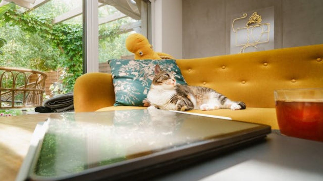 5 tendências de cores de tinta que os designers dizem que você vai se arrepender em 10 anos