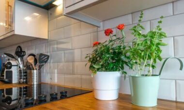 Aprenda como organizar sua cozinha como um chef