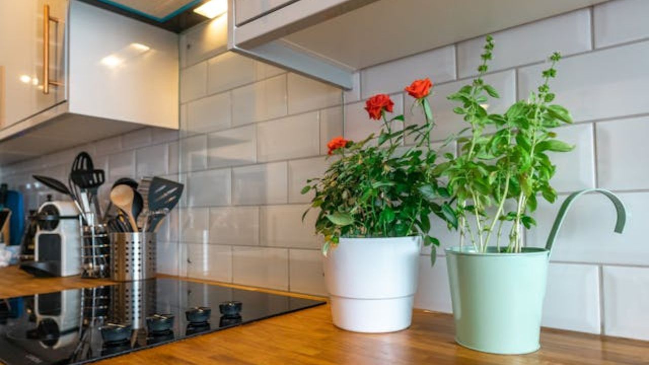 Aprenda como organizar sua cozinha como um chef