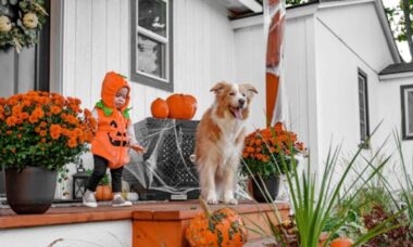 A tendência de outono que vai transformar sua varanda em 2025