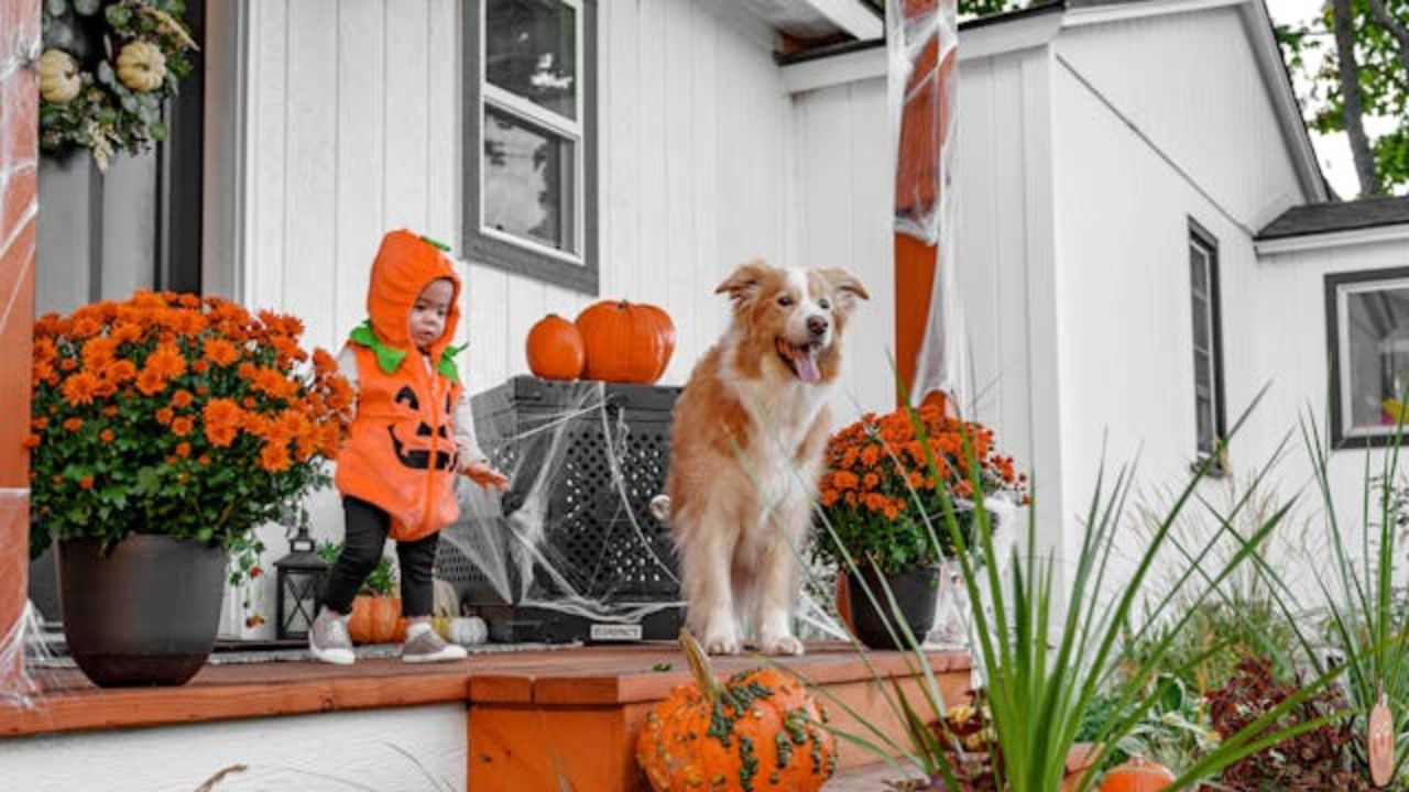 Hösttrenden som kommer att förvandla din balkong 2025