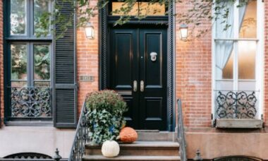 5 plantas de casa que se movem à noite – para adicionar drama aos seus interiores nesta temporada assustadora