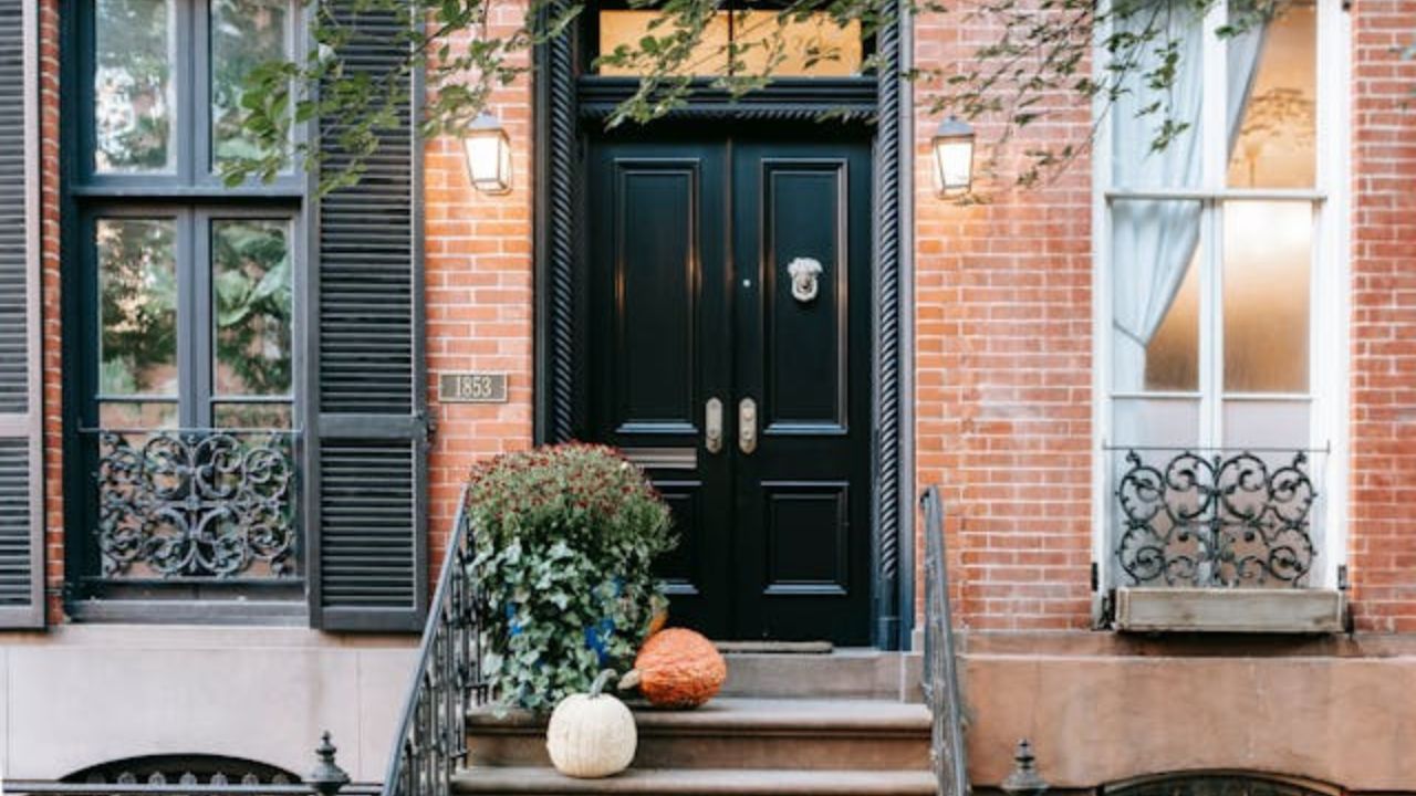 5 plantas de casa que se movem à noite – para adicionar drama aos seus interiores nesta temporada assustadora