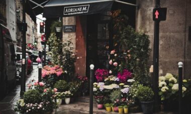 8 plantas que você nunca deve podar no outono para ter um jardim mais saudável e feliz