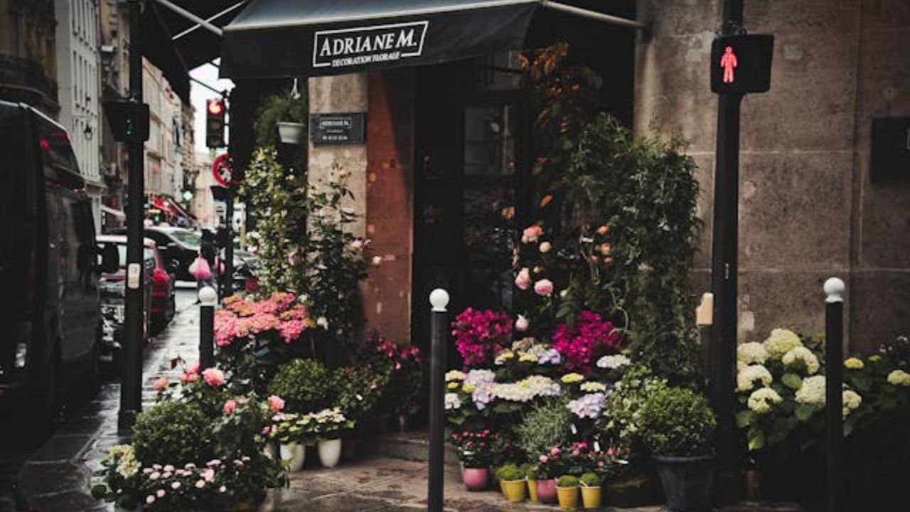 8 plantas que você nunca deve podar no outono para ter um jardim mais saudável e feliz