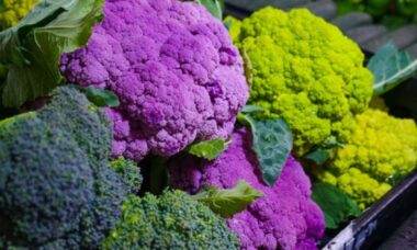 O vegetal “da moda” que vai dominar jardins e mesas neste outono