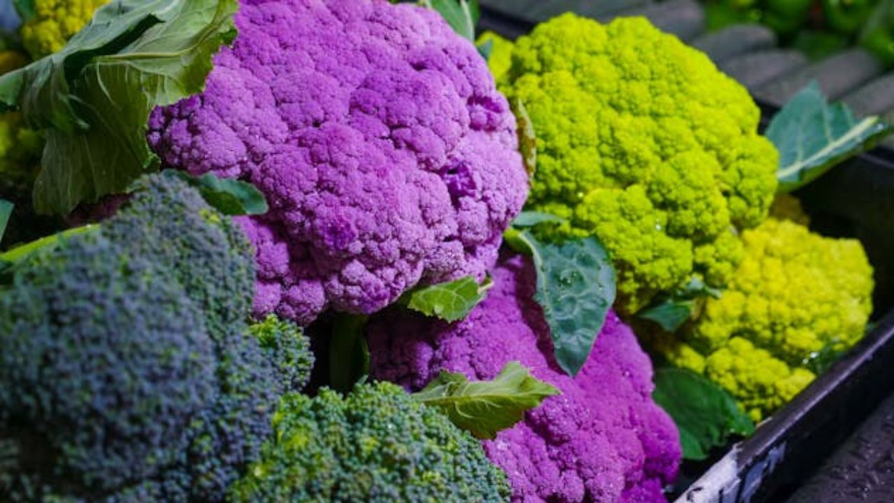 이 가을 정원과 식탁을 지배할 ‘트렌디’ 채소