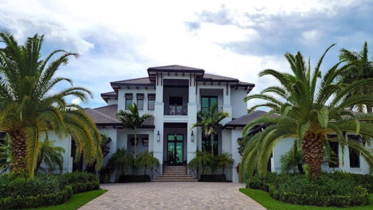 5 plantas de privacidade fáceis e de baixa manutenção para proteger seu jardim