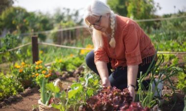 6 combinações de plantas que nunca devem ficar lado a lado no seu jardim