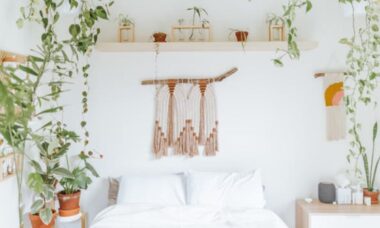 3 plantas que transformam quartos em ambientes mais relaxantes