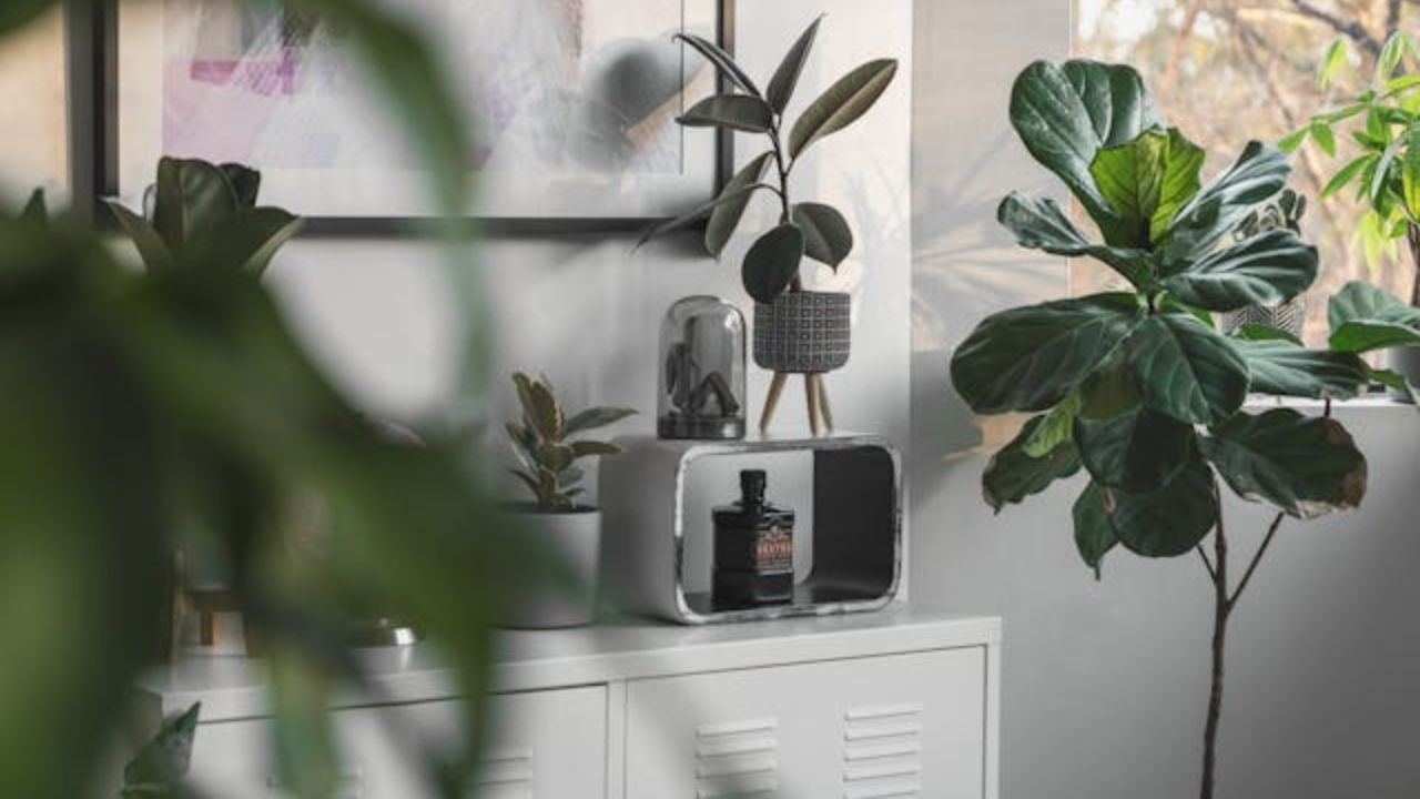 Odiamos dizer, mas esta decoração está ultrapassada — e especialistas explicam o porquê