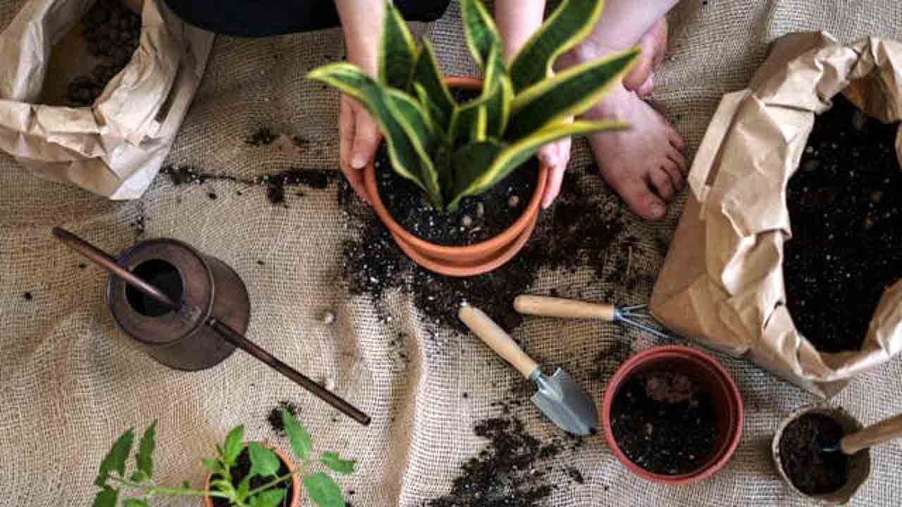 Vinteropgaven som gartnere alltid glemmer — og som kan redde hagen din om våren. Foto: Pexels