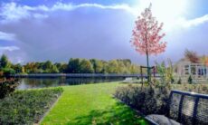 Tarefas de novembro para jardim em climas frios, segundo um jardineiro profissional