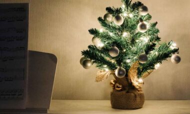 Devo deixar as luzes da árvore de Natal acesas a noite toda? Especialistas em energia revelam o custo real. Foto: Pexels