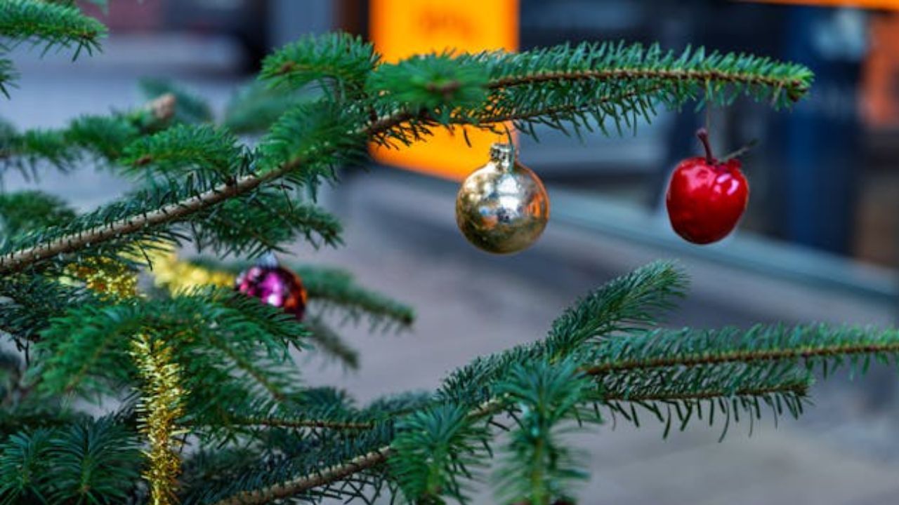 3 erros de decoração na árvore de Natal que você precisa evitar — e como corrigi-los com facilidade antes de começar